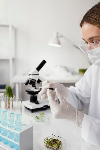 Close up researcher holding slide glass