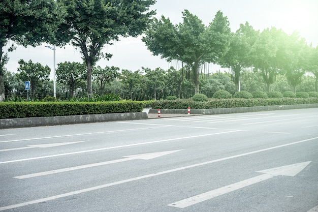 木の背景を持つ道路のクローズアップ