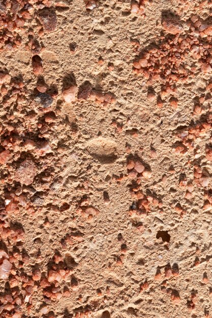 Free Photo close-up  rock organic background