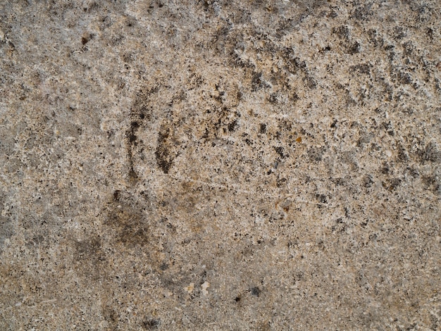 Close-up rock wall surface