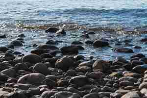 Free photo close-up rocks on wild beach