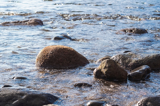 Rocce del primo piano sulla spiaggia selvaggia