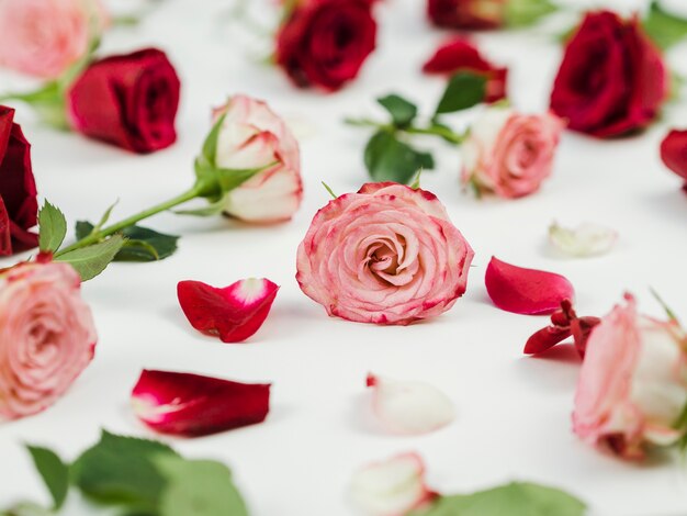 Close up of romantic roses assortment