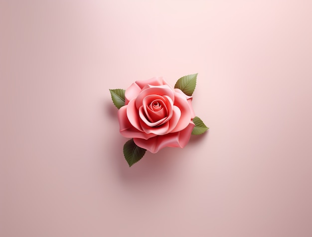 Free photo close up on rose isolated