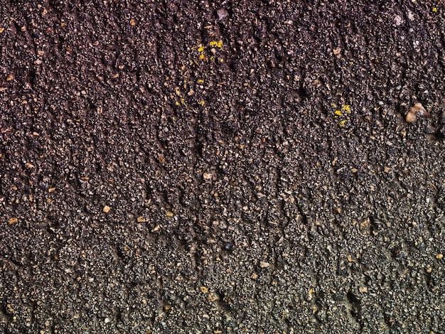 Close-up rough wooden surface