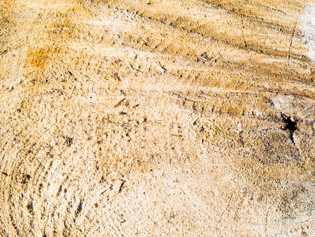 Close-up rough wooden surface