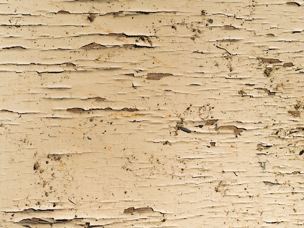 Free photo close-up rough wooden surface