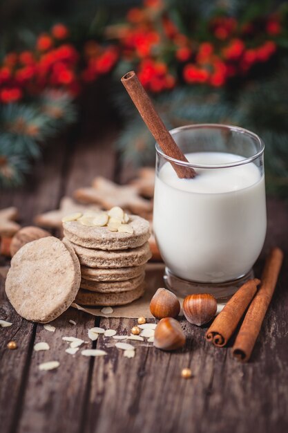 Close up of Santa Claus snacks