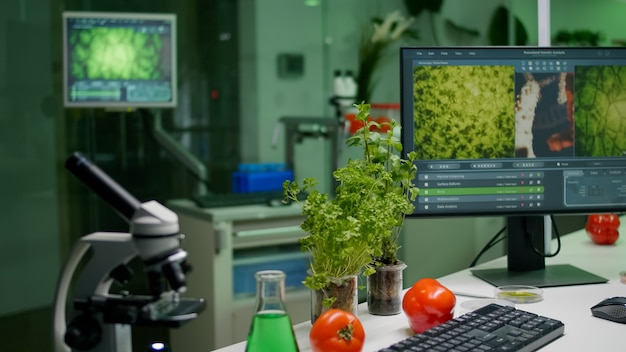 Close up of scientific research laboratory with glass test tubes flask microscope and sapling