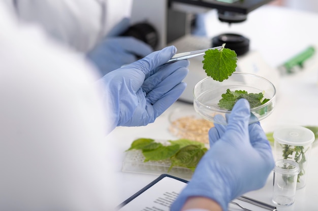 Free photo close up scientist holding petri dish