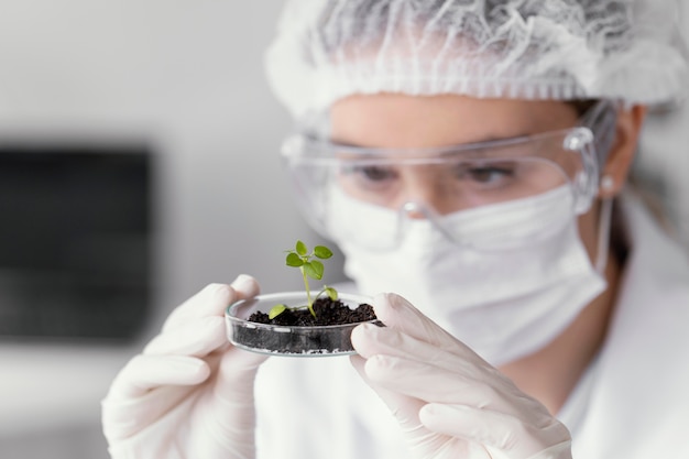 Free photo close up scientist watching plant