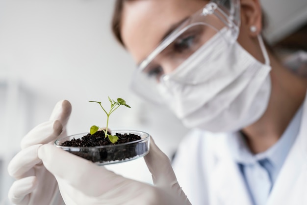 Close up scientist with plant