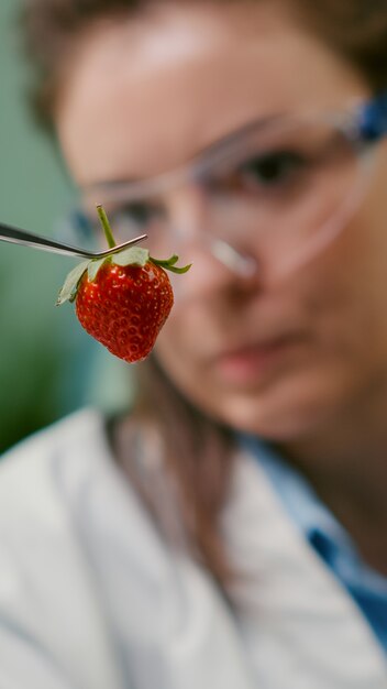 果物の生物学実験のために医療用ピンセットを使用して有機イチゴを見ている科学者の女性のクローズアップ