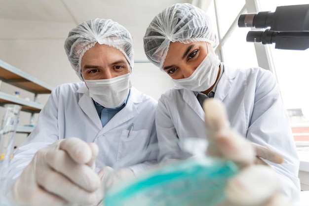 Free photo close up scientists with petri dishes