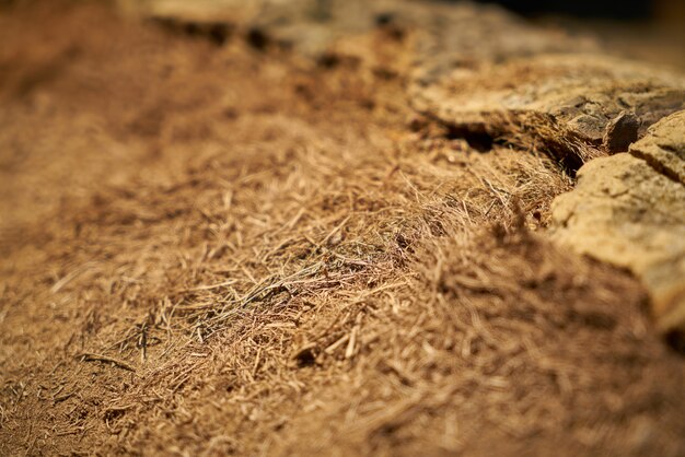 Close-up of scraps of wood