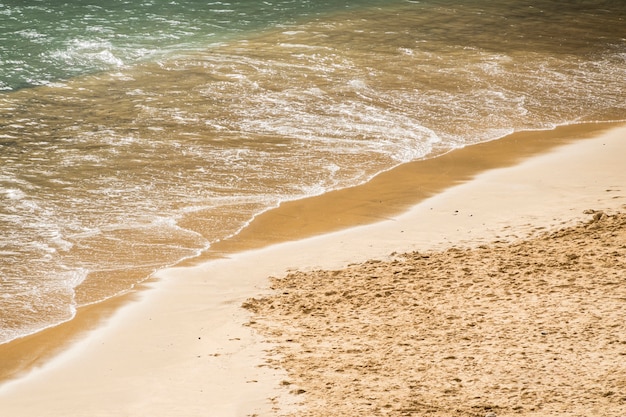 海岸で砂に触れるクローズアップ海水