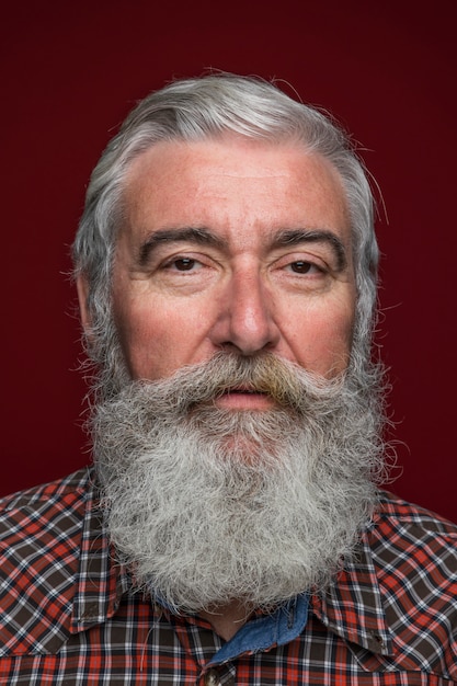 Close-up of senior man with grey beard on colored backdrop