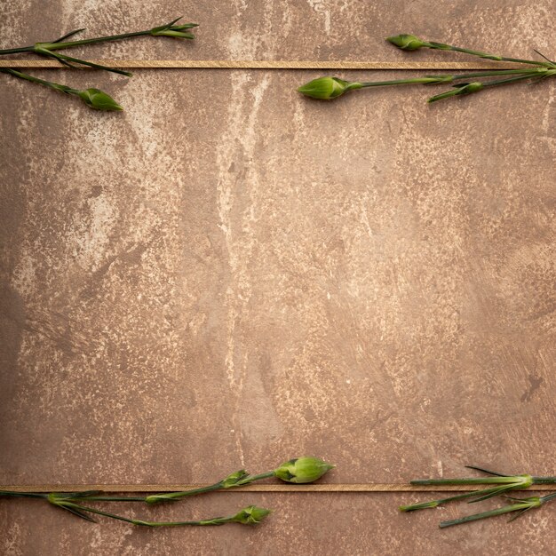 Close-up sepia frame with small carnation stems