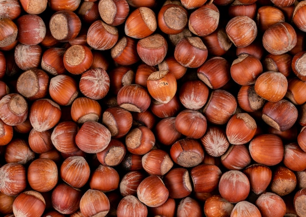 Close-up shelled hazelnuts . horizontal