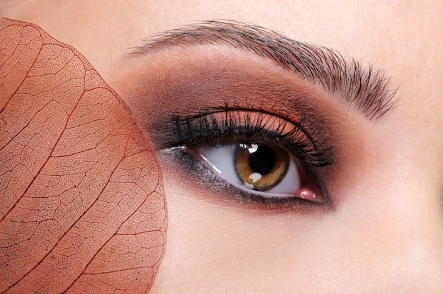 Close-up shoot of female eye with brown bright make-up and leaf