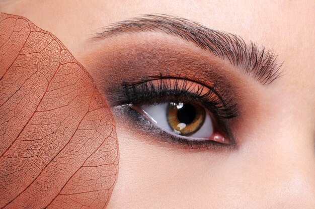 茶色の明るいメイクと葉を持つ女性の目のクローズアップ撮影