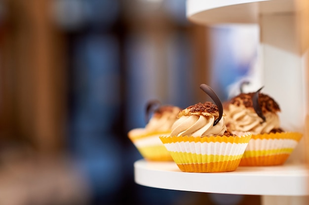 Close up shot of caramel vanilla cupcakes with cream and chocolate decoration copyspace food eating sugar sweet concept.