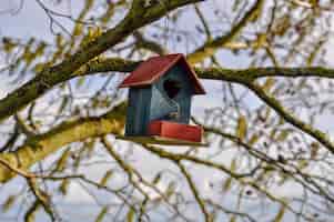 Foto gratuita immagine ravvicinata di una graziosa casetta per uccelli in rosso e blu con un cuore appeso a un albero