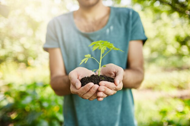 Закройте снимок темнокожего человека в голубой футболке, держа в руках растение с зелеными листьями. Садовник показывает носик, который вырастет в его саду. Выборочный фокус