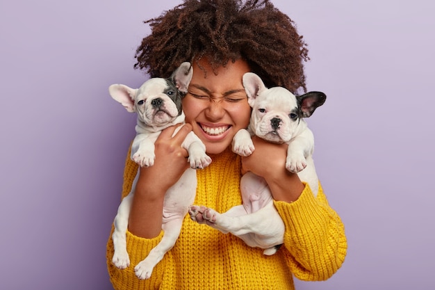 Close up shot of pleased woman with Afro hair holds two puppies, spends leisure time with loyal animal friends, happy to have newborn french bulldog dogs