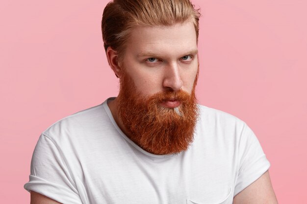 Close up shot of serious Caucasian male has stylish haircut and long thick ginger beard, wears casual t shirt, isolated over pink