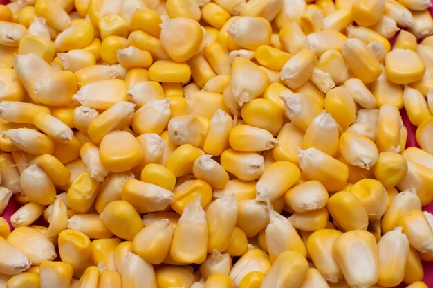 Close up shot of sweet corn for a background
