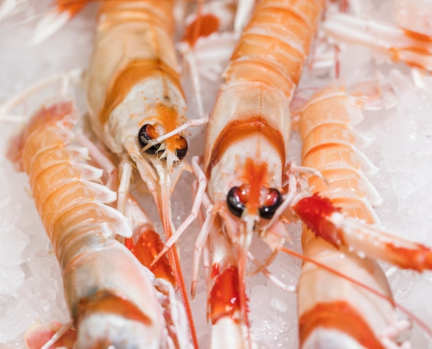 Close-up of shrimp on ice in market