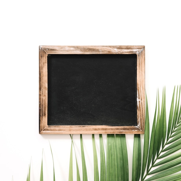 Close-up of slate and palm leaf over white background