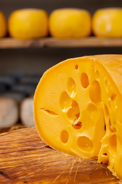 close-up slice of tasty swiss cheese