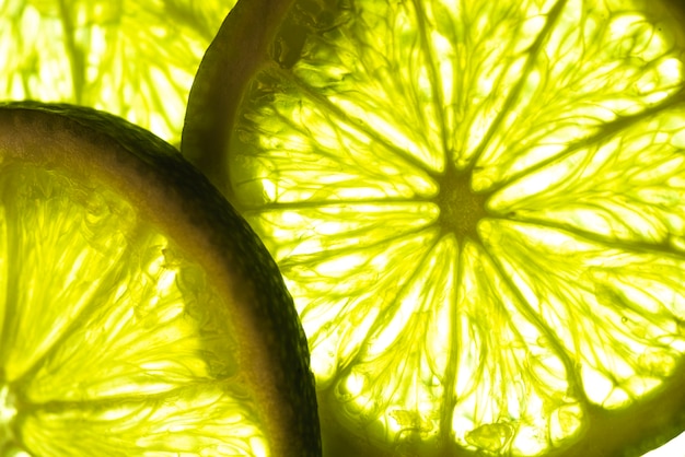 Free photo close-up slices of lime in sunlight