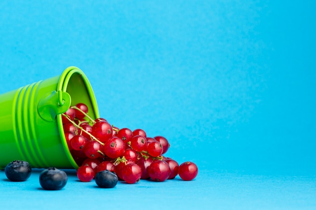 Close-up of small bucket with pouring currants
