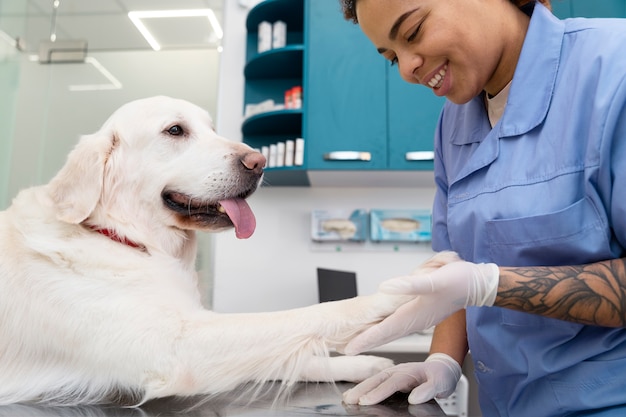 Free photo close up smiley doctor checking dog