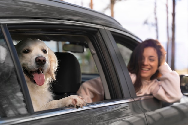 Close up smiley woman with dog in car