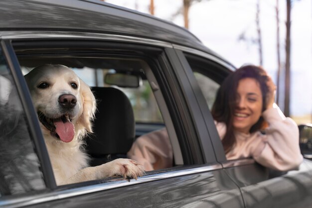 車の中で犬と笑顔の女性をクローズアップ
