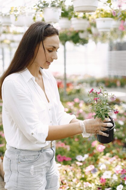 Close up of smiling charming young female gardener in white blouse. Woman holding young plant  in pot in her hands. Caucasian woman standing in greenhouse