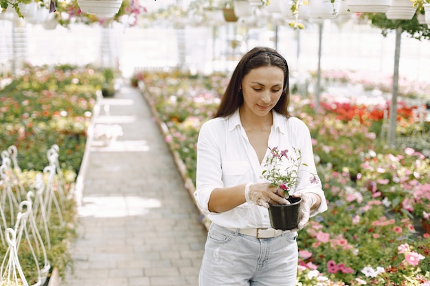 Close up of smiling charming young female gardener in white blouse. woman holding young plant  in pot in her hands. caucasian woman standing in greenhouse