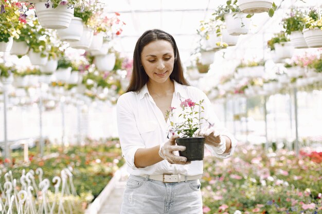 Close up of smiling charming young female gardener in white blouse. Woman holding young plant  in pot in her hands. Caucasian woman standing in greenhouse