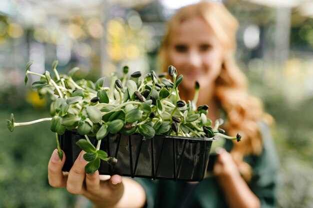 プラスチック製のポットに美しい常緑植物を保持している女性のクローズアップスナップポートレート