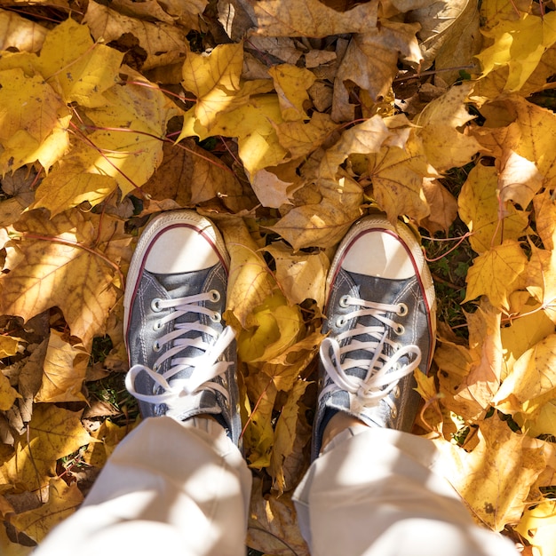 Кроссовки крупным планом на фоне листьев