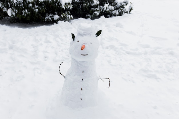 Close-up of a snowman on snowy land in winter season