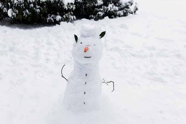 冬の雪に覆われた土地に雪だるまのクローズアップ