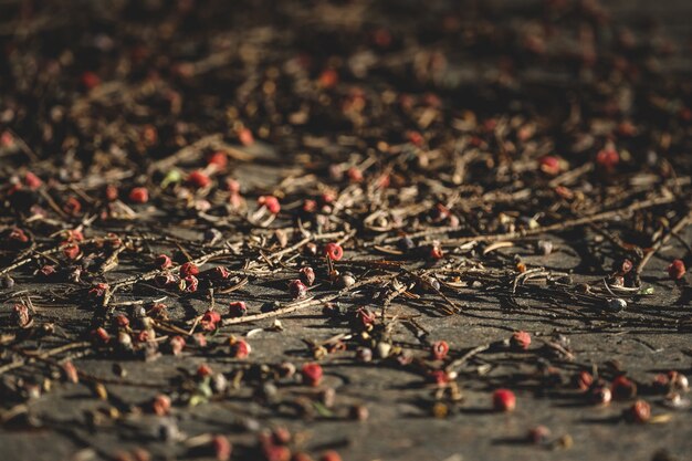 Close up of some red berries