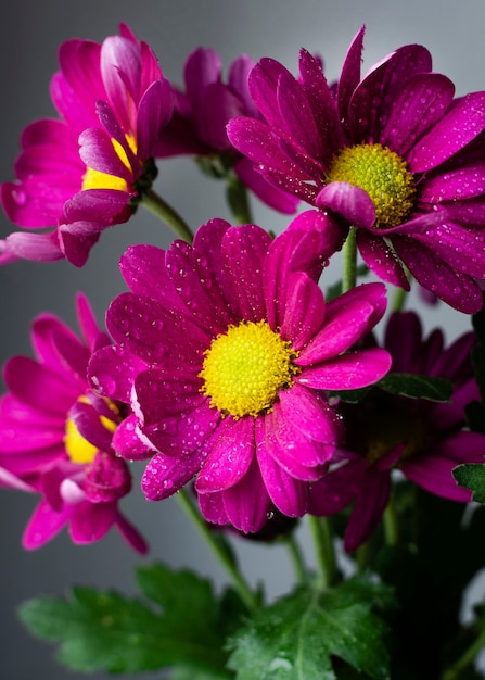 Close-up spring flowers