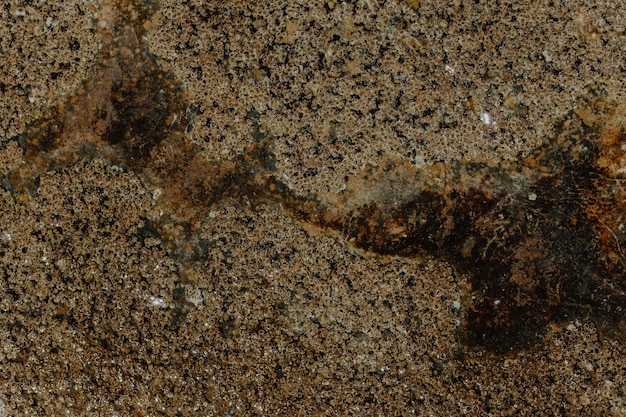 Close-up of stone texture