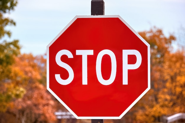 Close-up of a stop sign in a forest